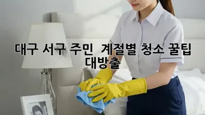 대구 서구 주민必見! ✨ 계절별 청소 꿀팁 대방출 🧹