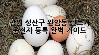 창원 성산구 완암동 렌트카 운전자 등록 완벽 가이드