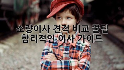 소량이사 견적 비교 꿀팁🍯: 합리적인 이사 가이드